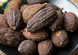 Black Cardamom